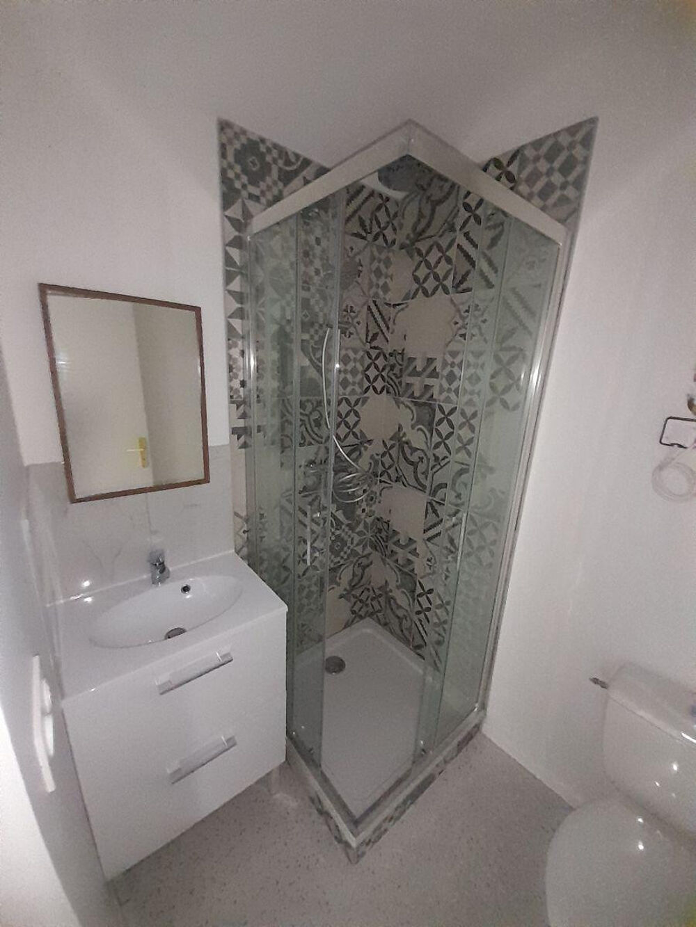 Location Appartement T3 rénové à neuf 52 m² Saint-Étienne