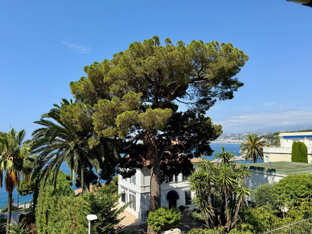 Vente Appartement Nice Mont Boron - 3 pièces refait à neuf Nice