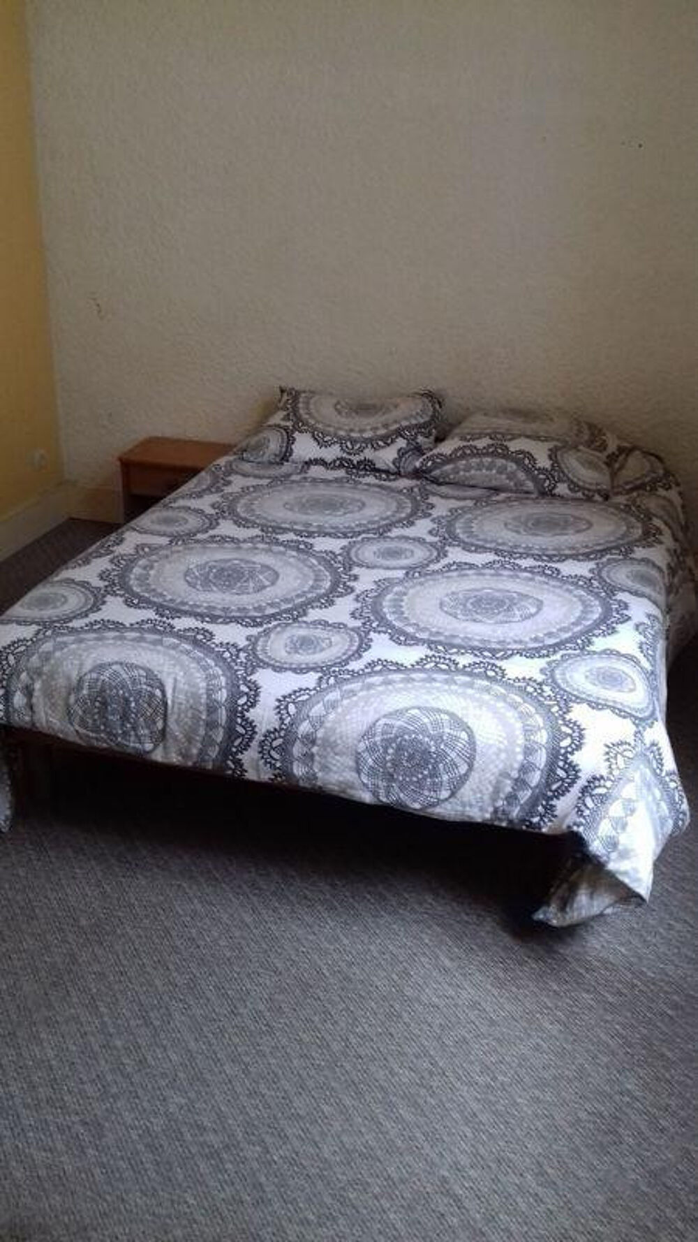 Location Appartement F1 meublé hyper centre Grenoble