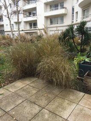  Appartement � louer 1 pi�ce 24 m�