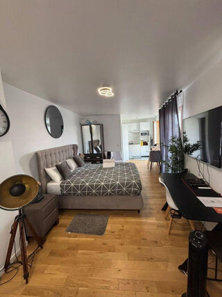  Appartement à louer 1 pièce 30 m²