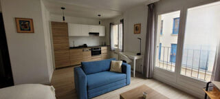  Appartement à louer 1 pièce 29 m²