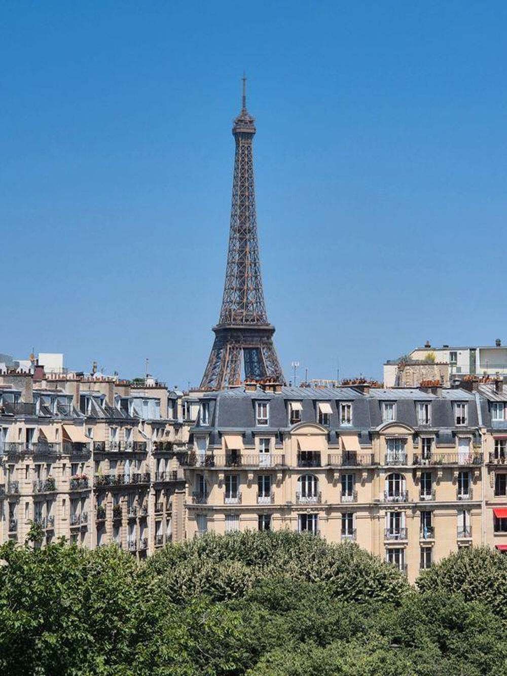 Location Appartement Location meublée bail à mobilité appartement T2 Paris 15