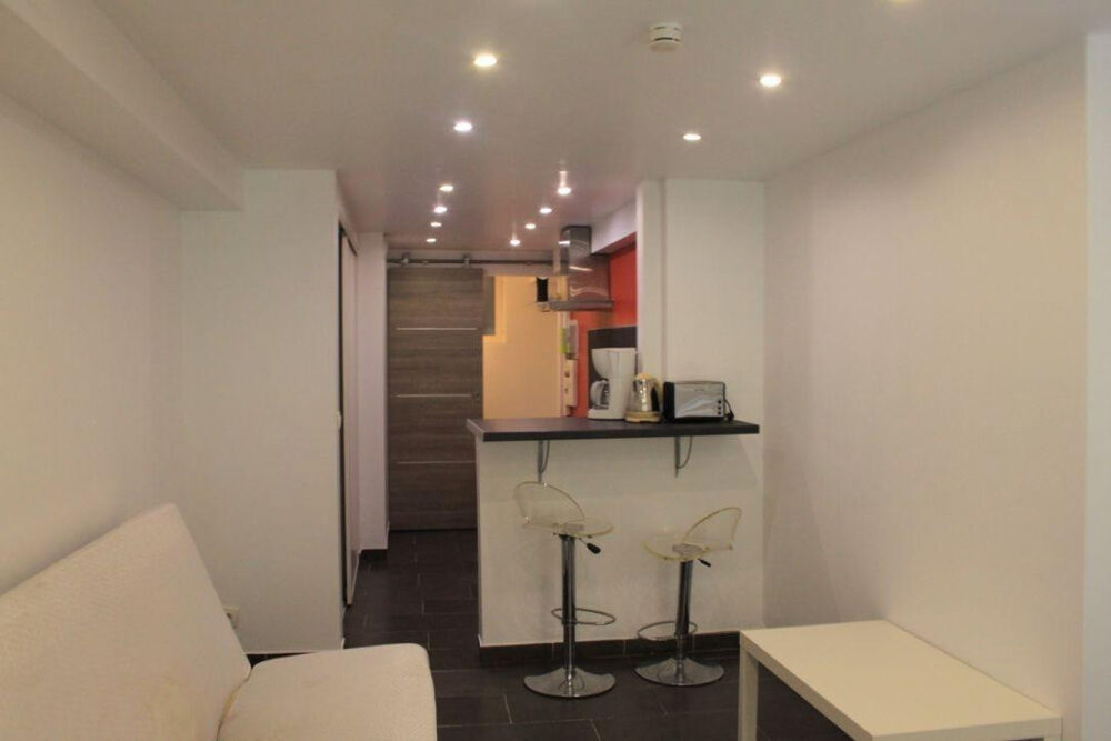 Location Appartement Loue STUDIO DE 23m2 entièrement rénové LYON 01 Lyon 1