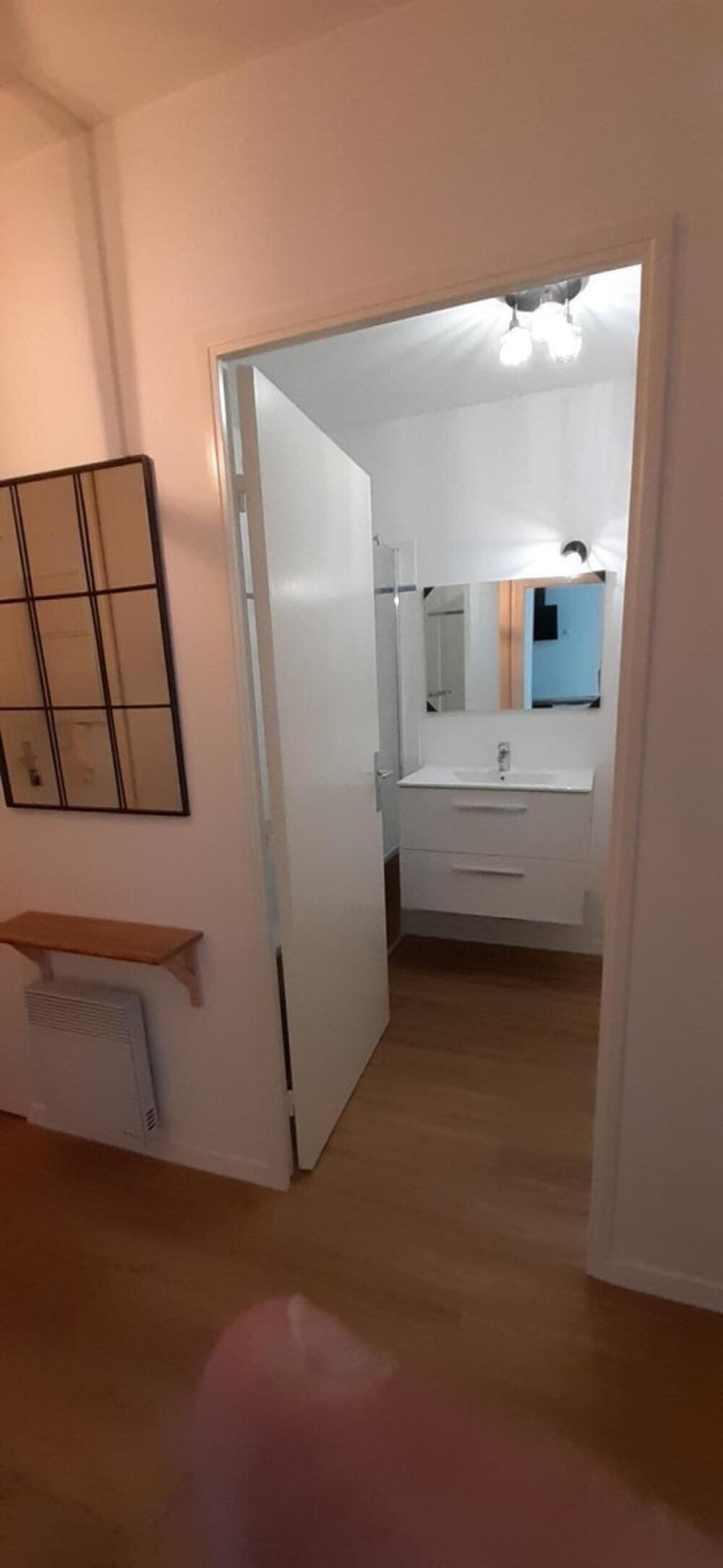 Location Appartement T2 meublé, parking, terrasse, vue parc, C2 au pied Nantes