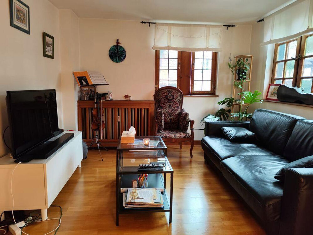 Location Appartement Hypercentre Petite France F2 exceptionnel Strasbourg