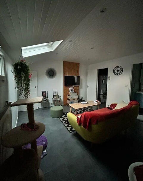  Lumineux T2 bis meublé 54m² Appartement - 3 pièce(s) - 54 m²