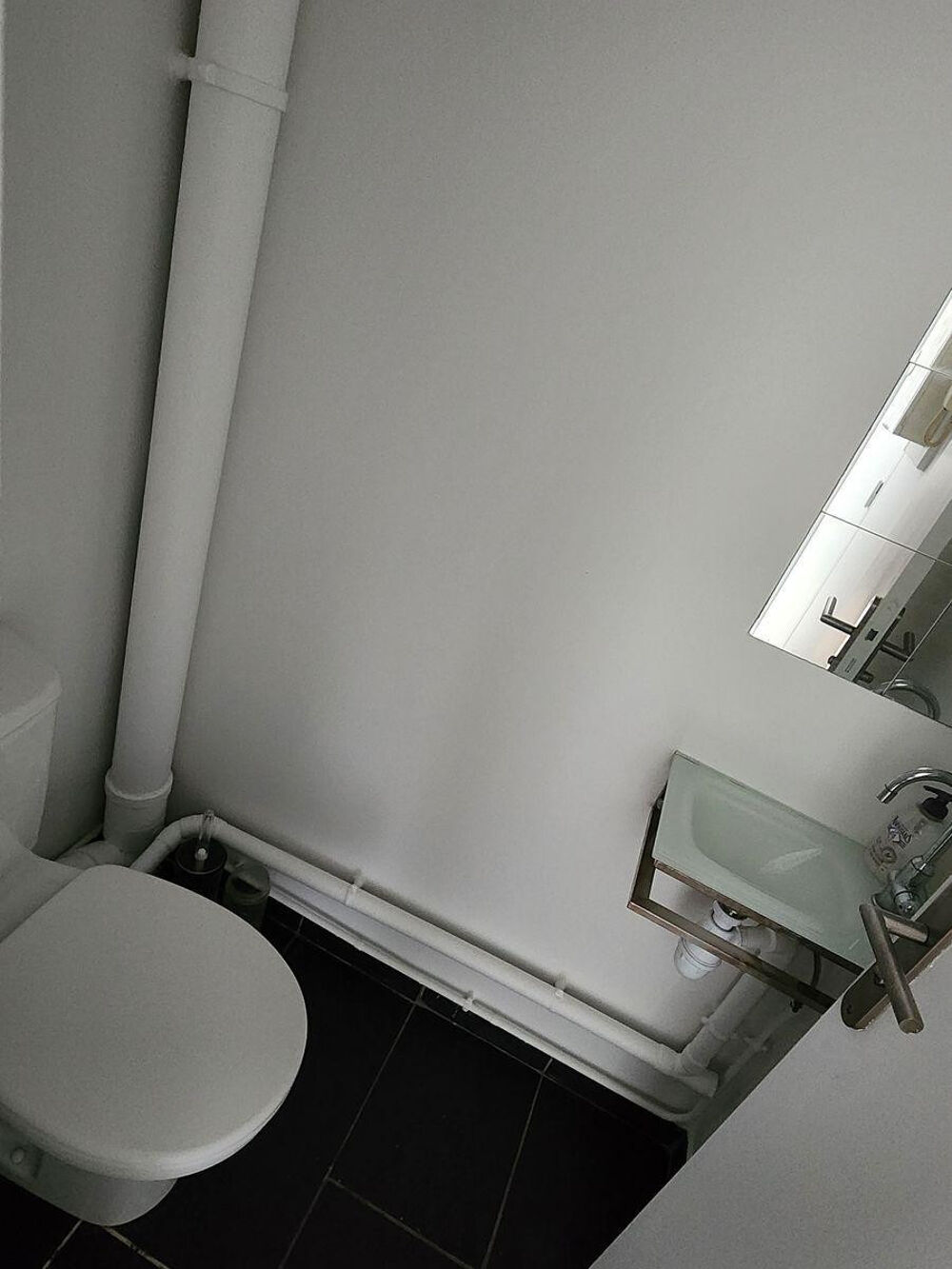 Location Appartement Appartement 2p 47m2 Alfortville refait à neuf Alfortville