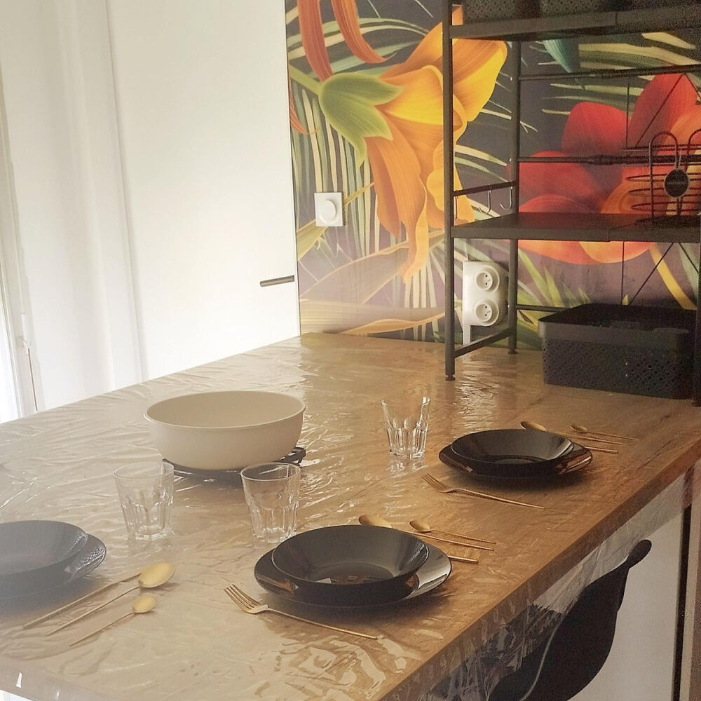 Location Appartement Colocation chaleureuse et conviviale Toulouse