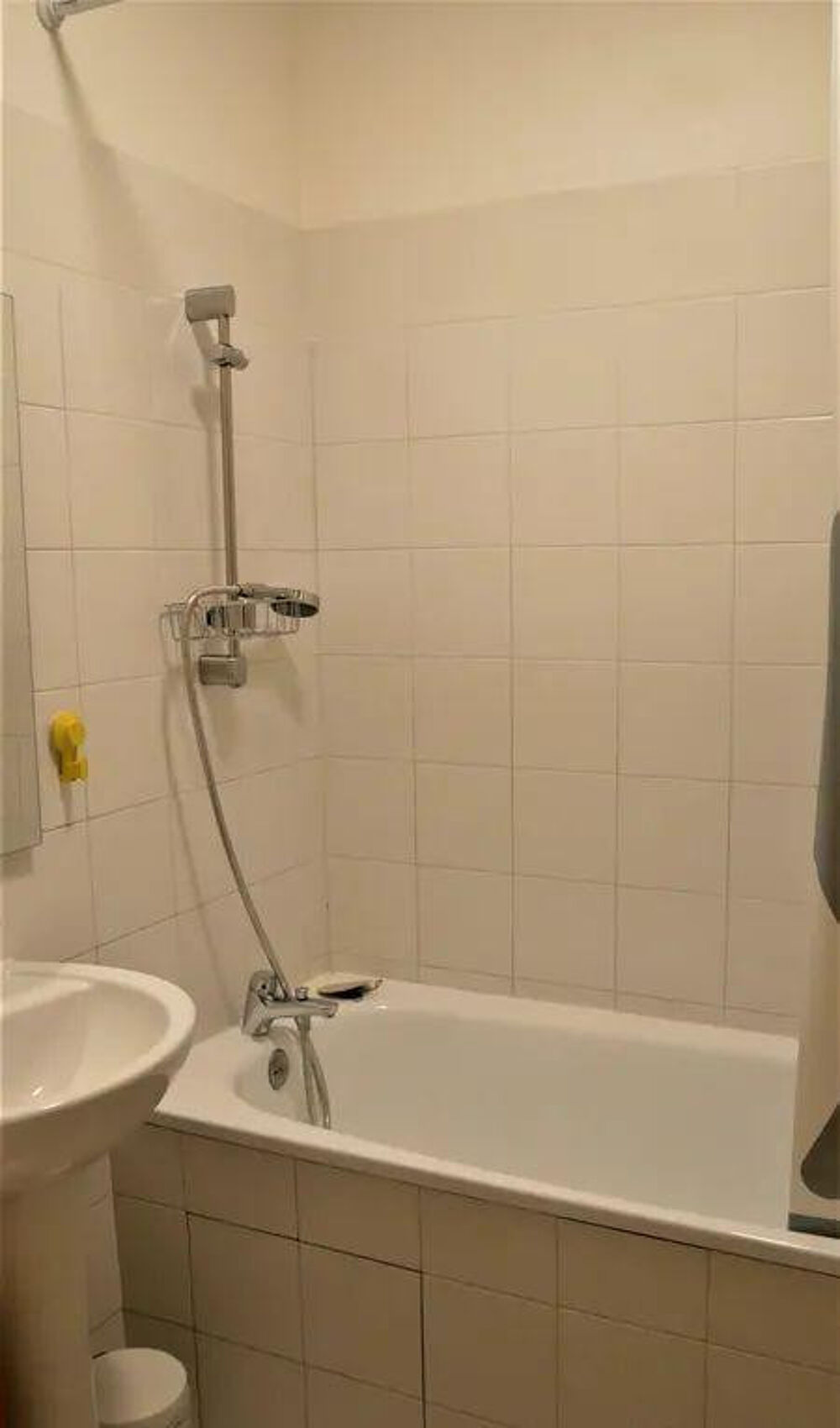 Location Appartement Magnifique 2P 3Om2 meublé rénové dans Vieux lyon Lyon 5