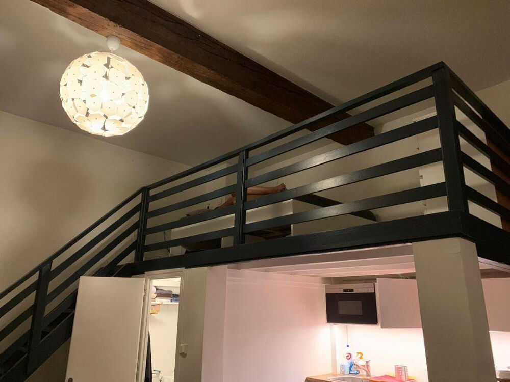 Location Appartement Beau studio meublé rénové 33m²  rue Masséna Lyon 6