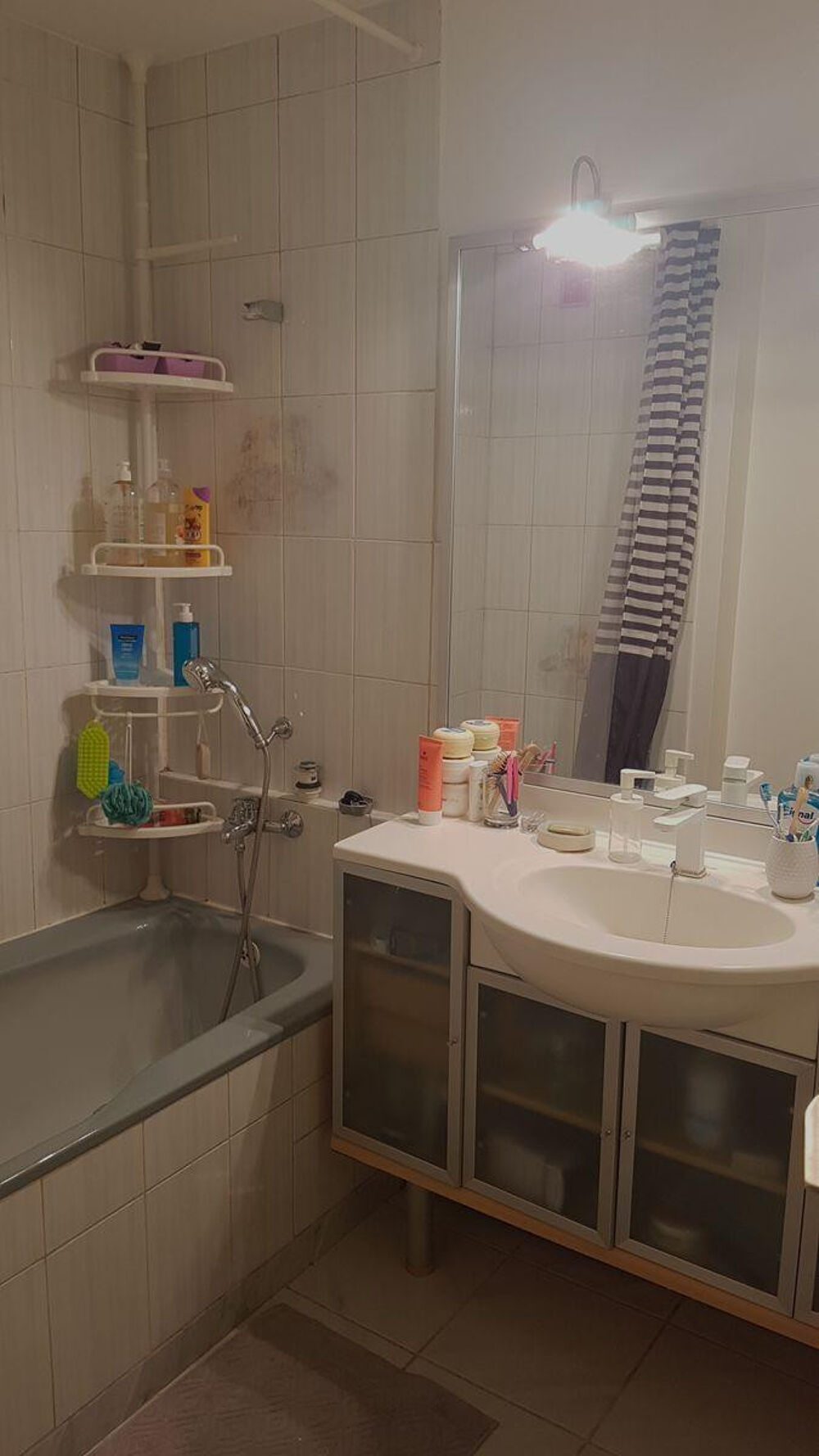 Location Appartement Appartement confortable et apaisant Saint-maur-des-fossés