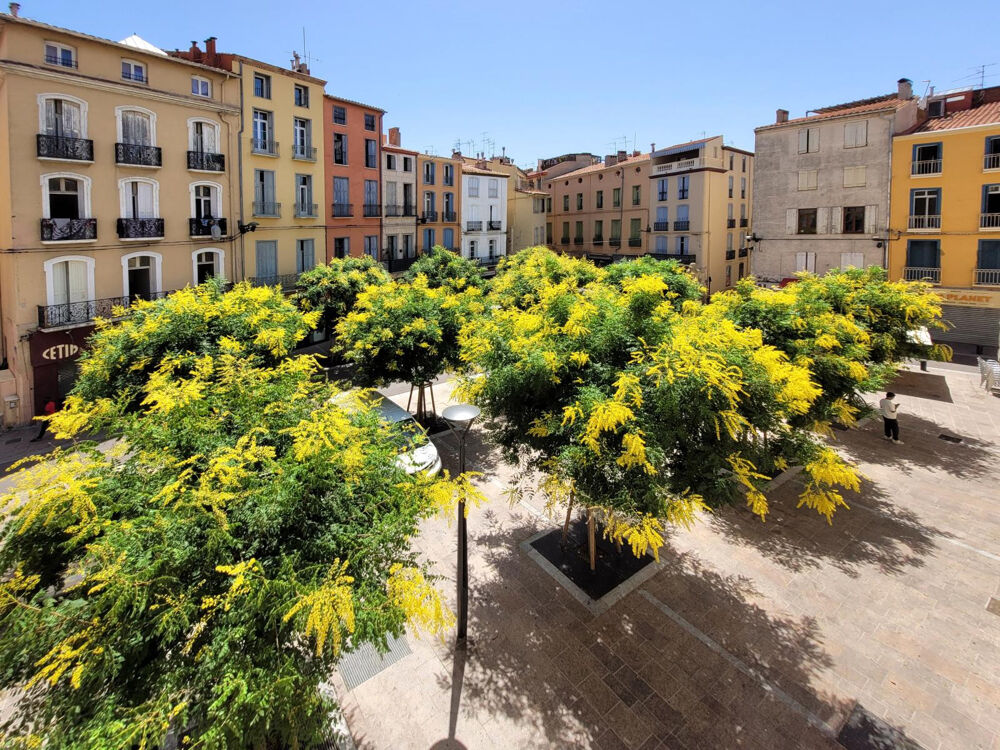 Location Appartement Bel Appartement T3  centre historique, 2ème étage Perpignan