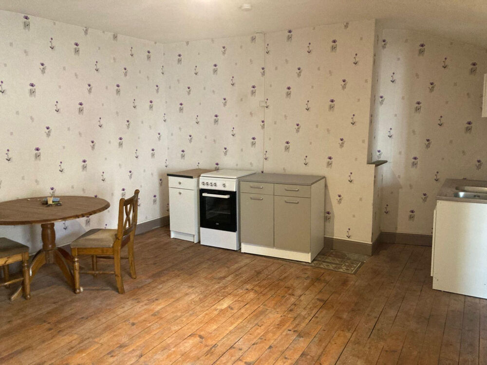 Location Appartement Appart 50m²  HYPER CENTRE ALBI avec terrasse. Albi