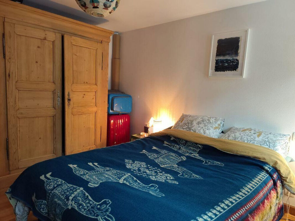 Location Appartement Hypercentre Petite France F2 exceptionnel Strasbourg