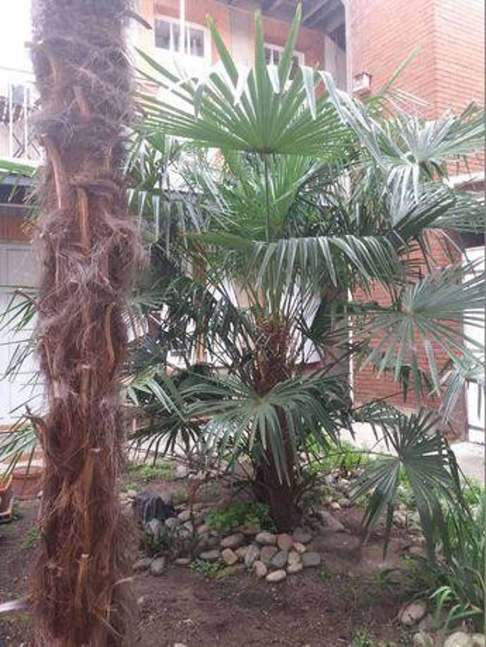 Location Appartement Agréable studio Meublé - Centre Ville Toulouse
