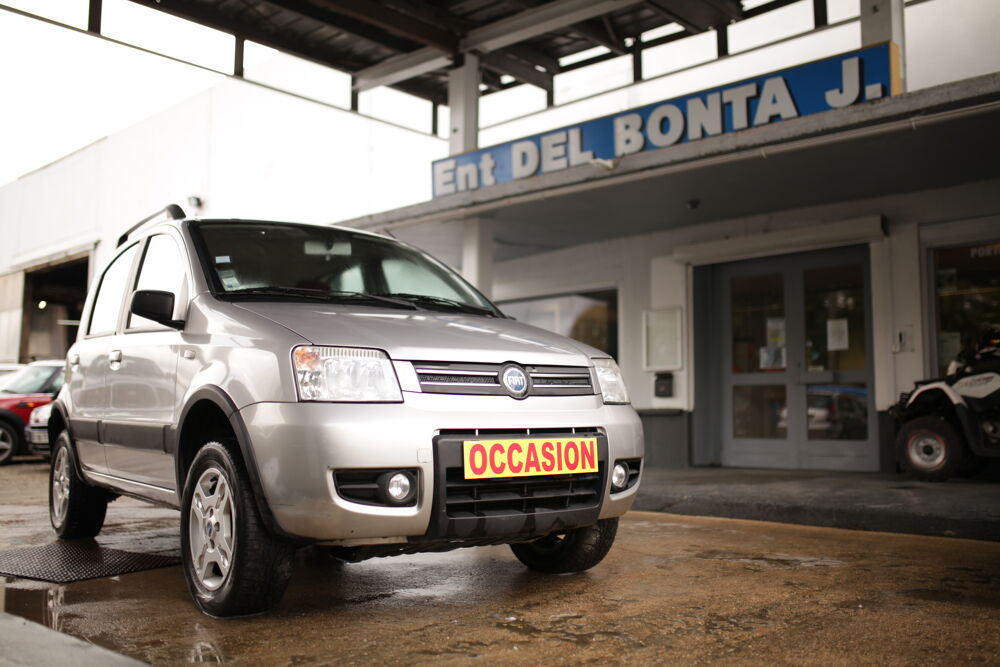 Panda 1.3 D Multijet 4x4 2005 occasion 52300 Vecqueville