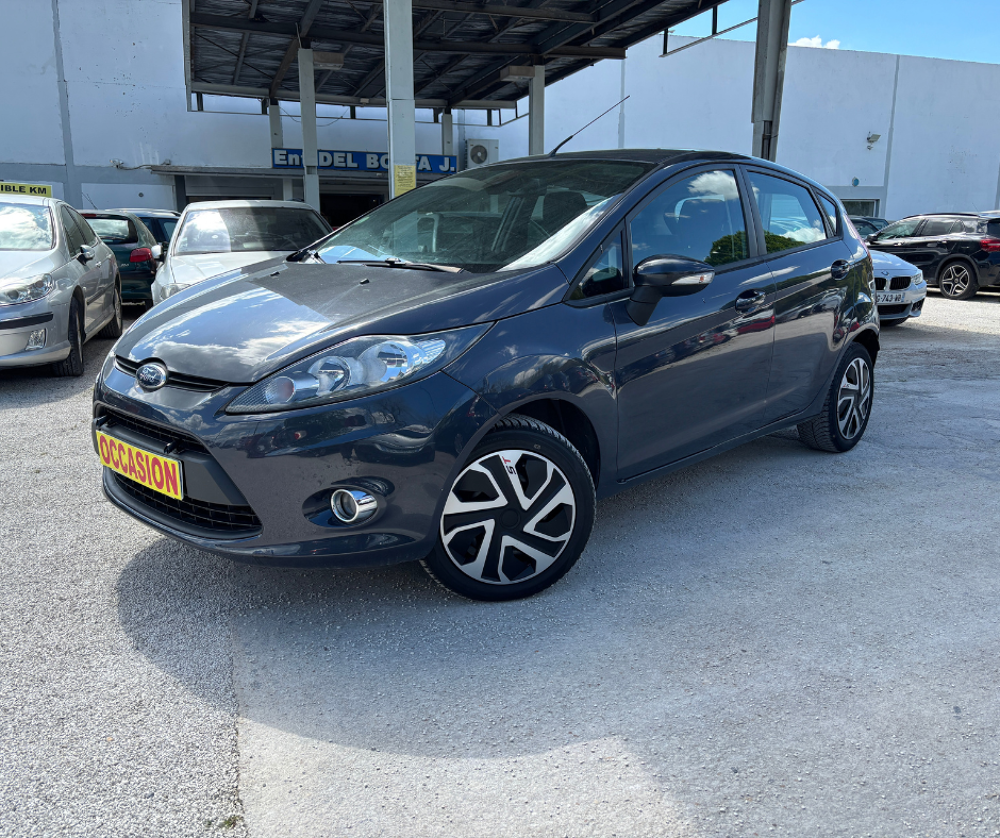 Fiesta 1400 TDCI 70 TREND PACK 2012 occasion 52300 Vecqueville