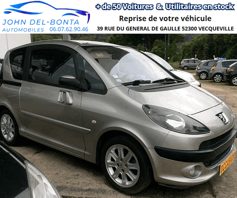 Peugeot 1007 1.4 1360cm3 75cv AUTOMATIQUE 2005 occasion Vecqueville 52300