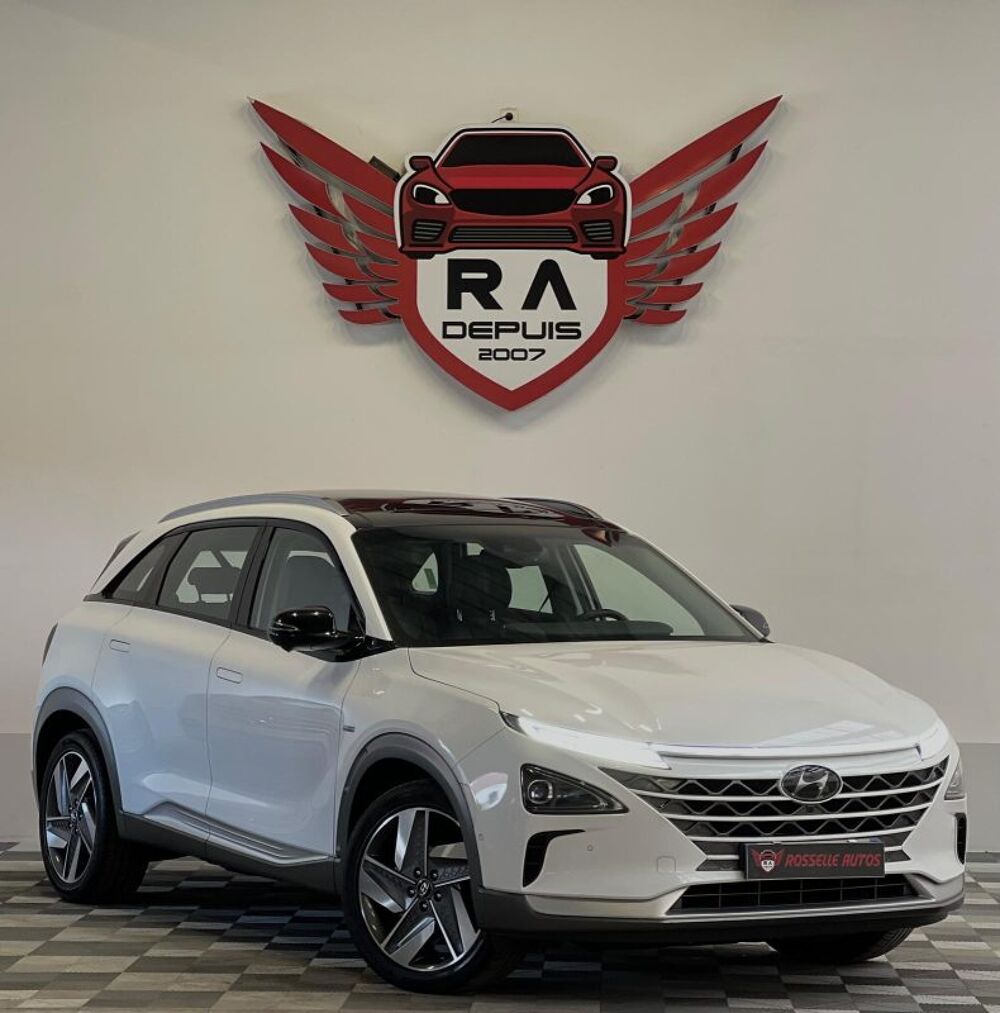 Nexo Hydrogene 163 ch 1ER M 2019 occasion 57540 Petite-Rosselle