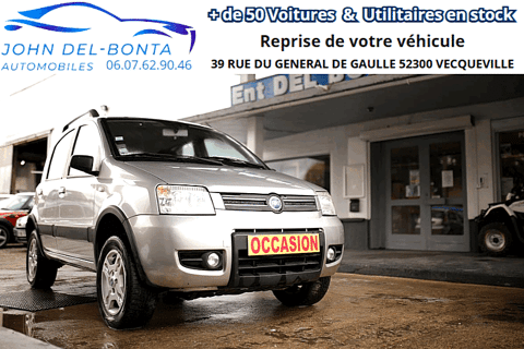 Fiat Panda 1.3 D Multijet 4x4 2005 occasion Vecqueville 52300
