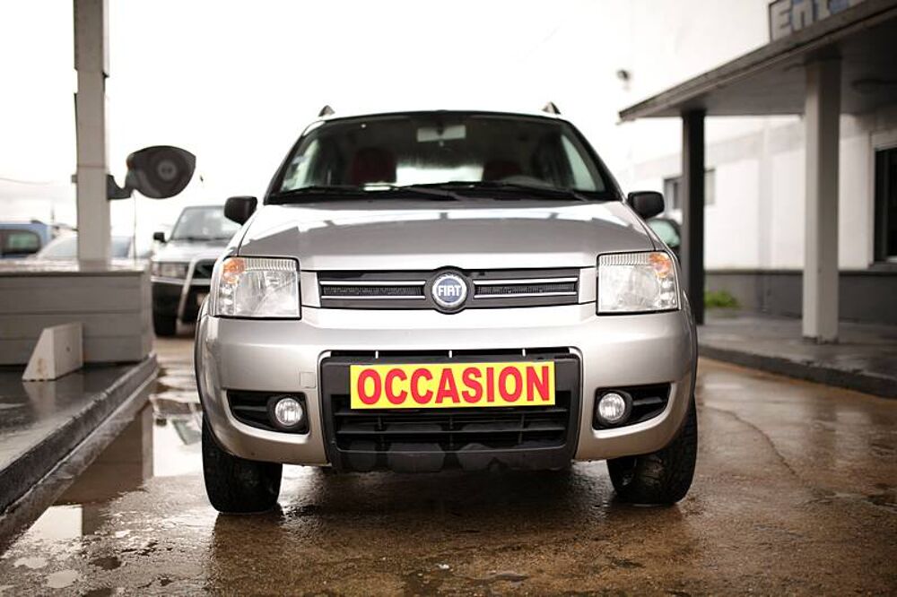 Panda 1.3 D Multijet 4x4 2005 occasion 52300 Vecqueville