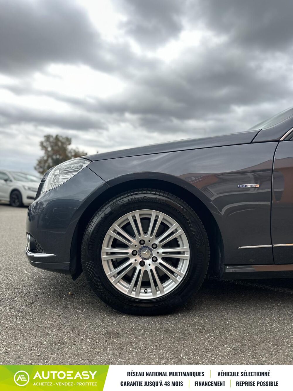 Classe E 250 CDI ELEGANCE EXECUTIVE BVA / ENTRETIEN EXCLUSIF MERCEDES 2009 occasion 68920 Wettolsheim