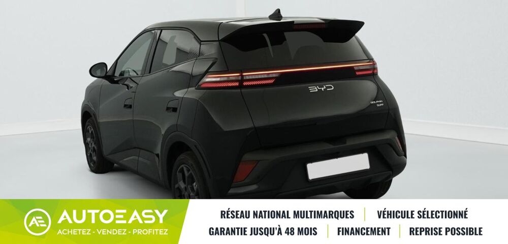 Dolphin SURF 43.2 kWh 156 ch Comfort 2025 occasion 35230 Saint-Armel