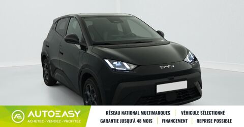 Dolphin SURF 43.2 kWh 156 ch Comfort 2025 occasion 35230 Saint-Armel