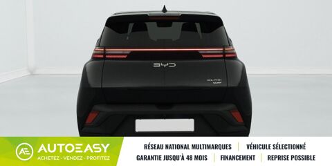 Dolphin SURF 43.2 kWh 156 ch Comfort 2025 occasion 35230 Saint-Armel