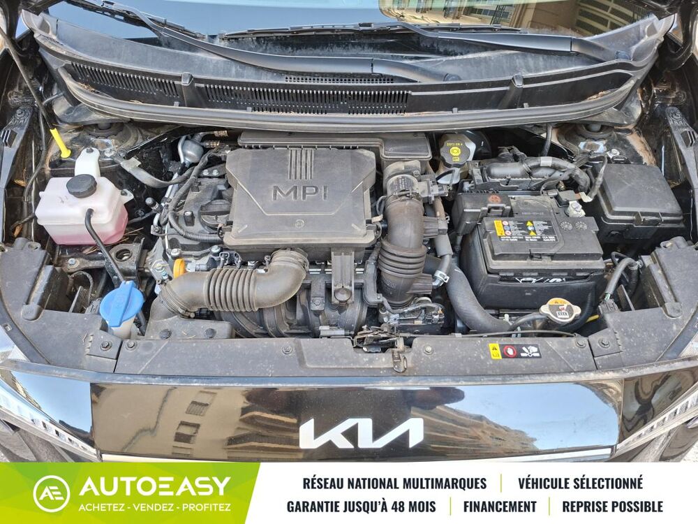 Picanto 1.2 84 ch Active boite auto 12500 kms 1ere main 2025 occasion 06300 Nice