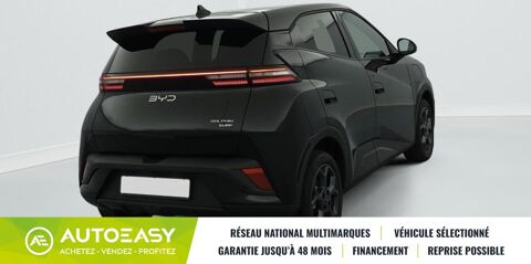 Dolphin SURF 43.2 kWh 156 ch Comfort 2025 occasion 35230 Saint-Armel