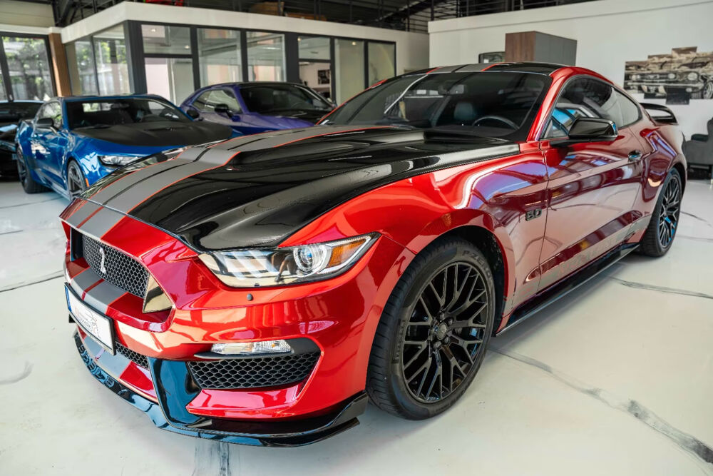 Mustang MUSTANG GT5,0 Gt 350 SHELBY PREMIUM VOLL 2016 occasion 39140 Bletterans
