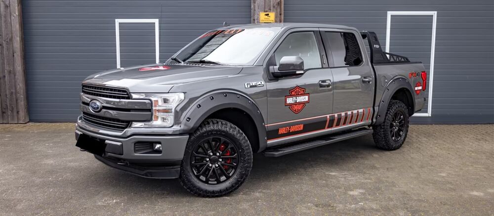 Divers F-150 3,5 V6 EcoBoost 4X4 AHK Kamera SHZ 2020 occasion 39140 Bletterans