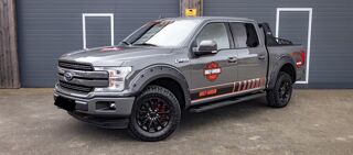 Divers F-150 3,5 V6 EcoBoost 4X4 AHK Kamera SHZ 2020 occasion 39140 Bletterans