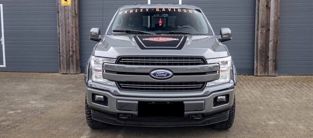 Divers F-150 3,5 V6 EcoBoost 4X4 AHK Kamera SHZ 2020 occasion 39140 Bletterans