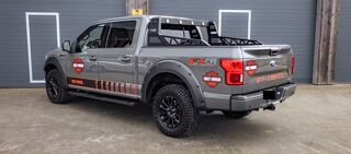 Divers F-150 3,5 V6 EcoBoost 4X4 AHK Kamera SHZ 2020 occasion 39140 Bletterans