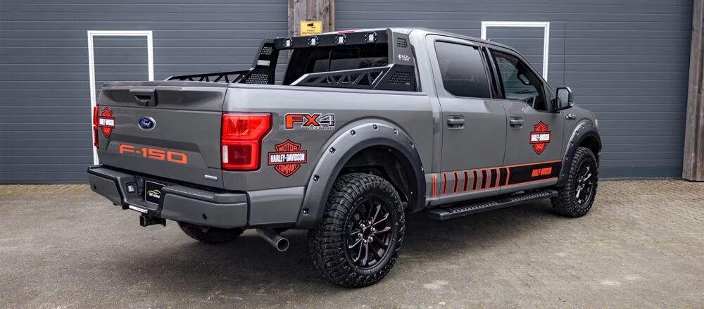 Divers F-150 3,5 V6 EcoBoost 4X4 AHK Kamera SHZ 2020 occasion 39140 Bletterans