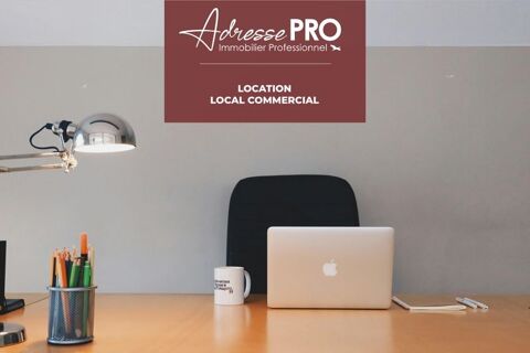 Local professionnel 500 29810 Plouarzel