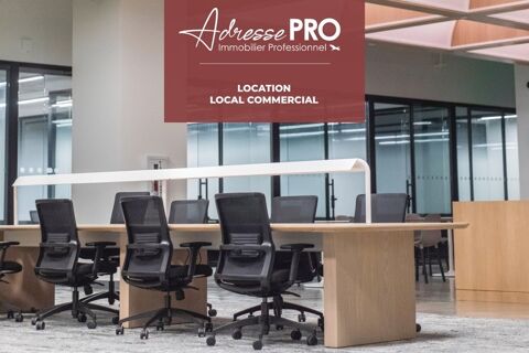 Local professionnel 1300 29600 St martin des champs