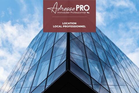Local professionnel 6000 29830 Plouguin