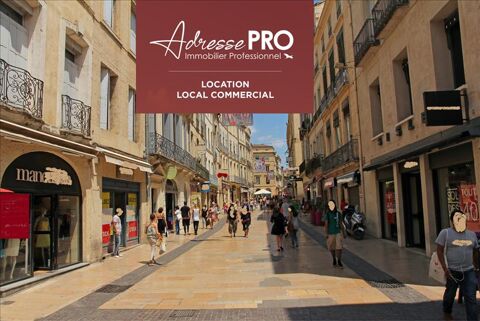 Local professionnel 4488 34000 Montpellier