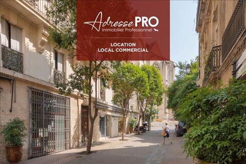 Local professionnel 450 34000 Montpellier