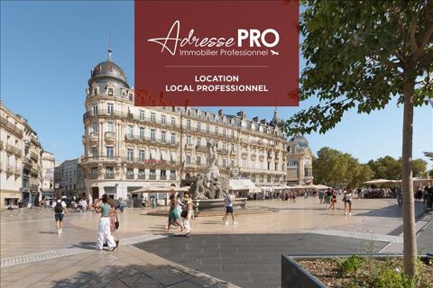 Local professionnel 800 34000 Montpellier