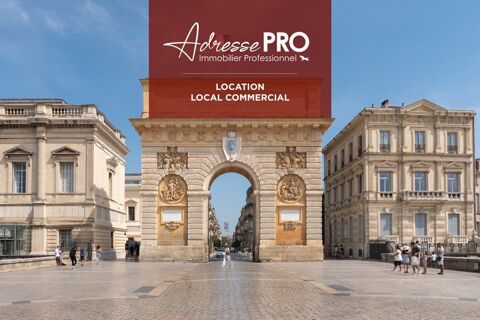 Local professionnel 1000 34000 Montpellier