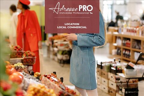 Local professionnel 950 29830 St pabu