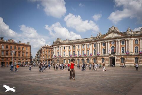 Local professionnel 795 31000 Toulouse