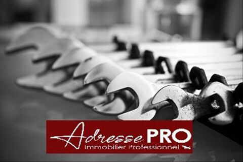 Local professionnel 2000 17220 Ste soulle