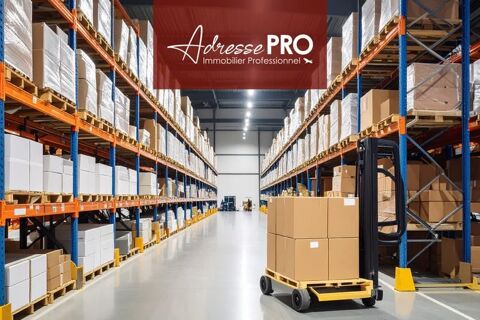 Local professionnel 690 40460 Sanguinet