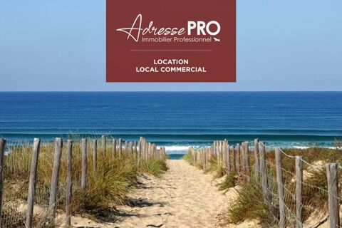 Local professionnel 650 40460 Sanguinet